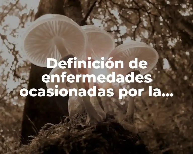 Definición de enfermedades ocasionadas por la mutación duplicación