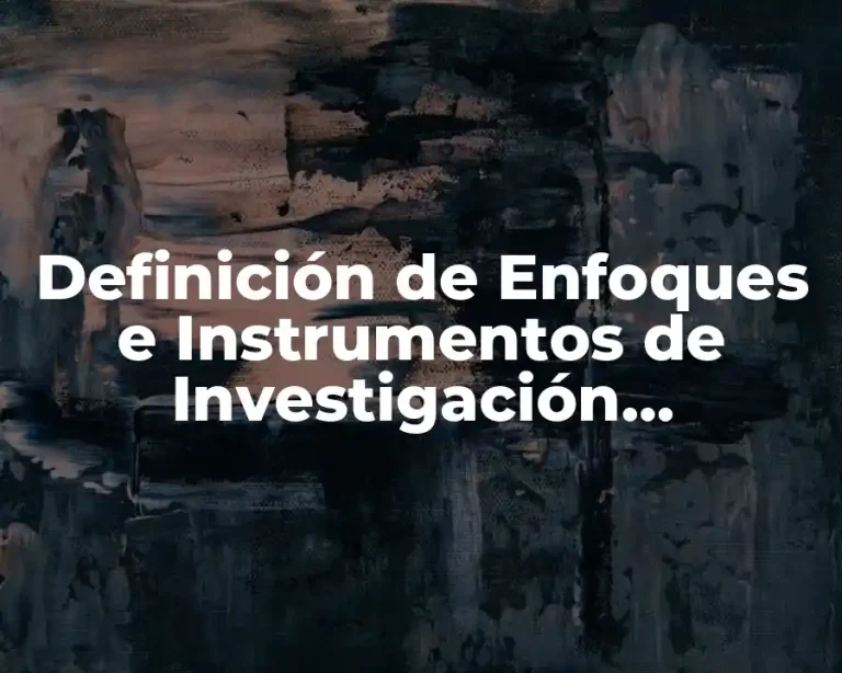 Definición de Enfoques e Instrumentos de Investigación Cualitativa