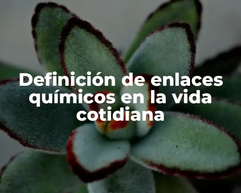 Definición de enlaces químicos en la vida cotidiana