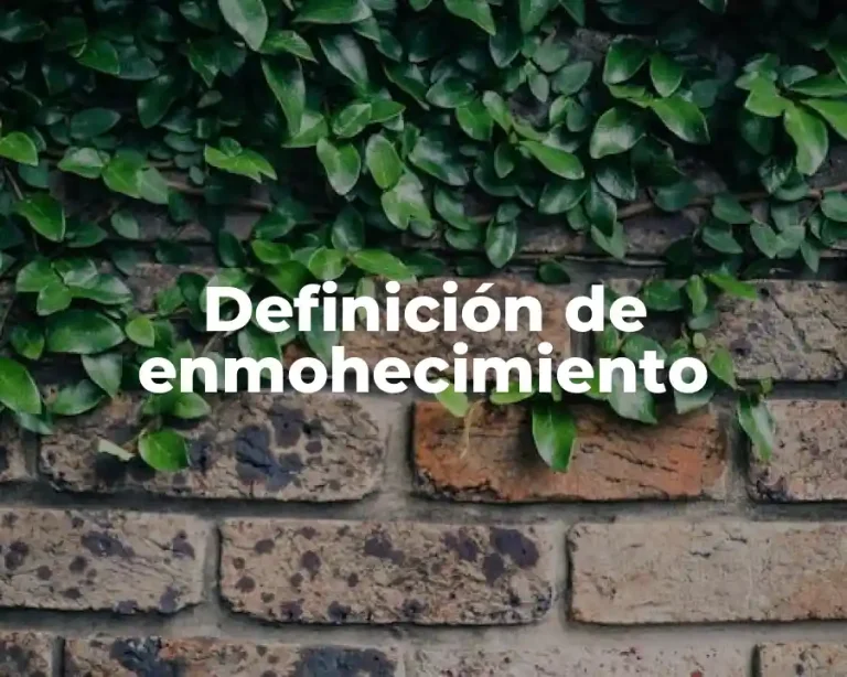 Definición de enmohecimiento