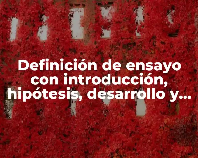 Definición de ensayo con introducción, hipótesis, desarrollo y conclusión