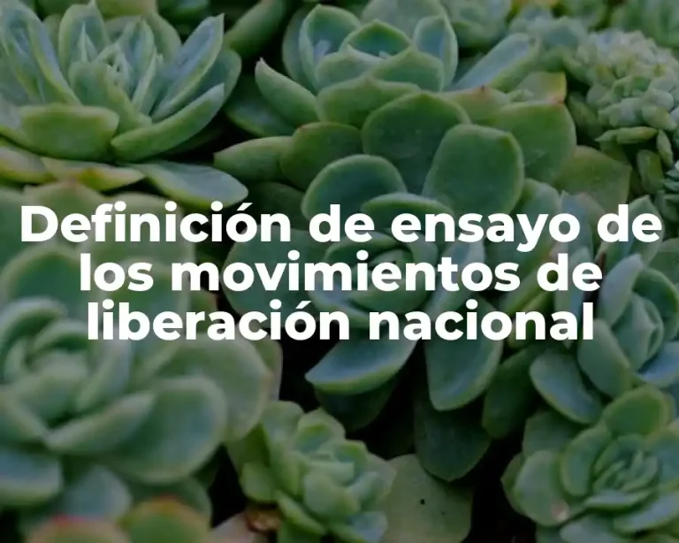 Definición de ensayo de los movimientos de liberación nacional