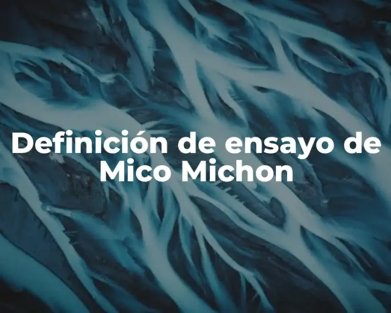 Definición de ensayo de Mico Michon