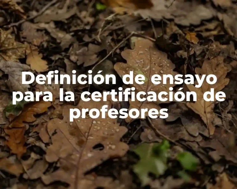 Definición de ensayo para la certificación de profesores