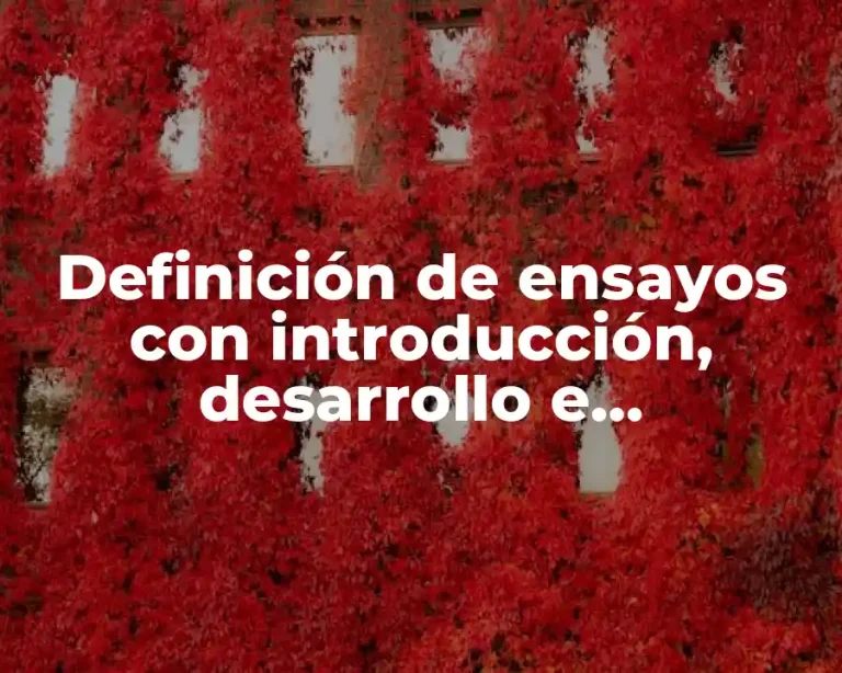 Definición de ensayos con introducción, desarrollo e introducción