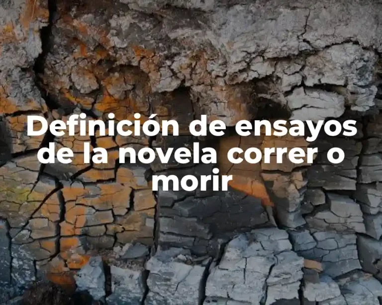 Definición de ensayos de la novela correr o morir