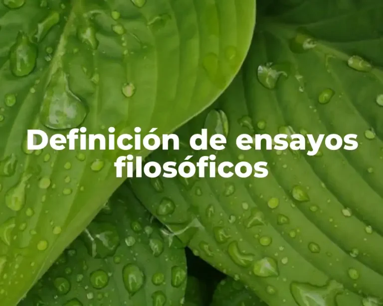 Definición de ensayos filosóficos