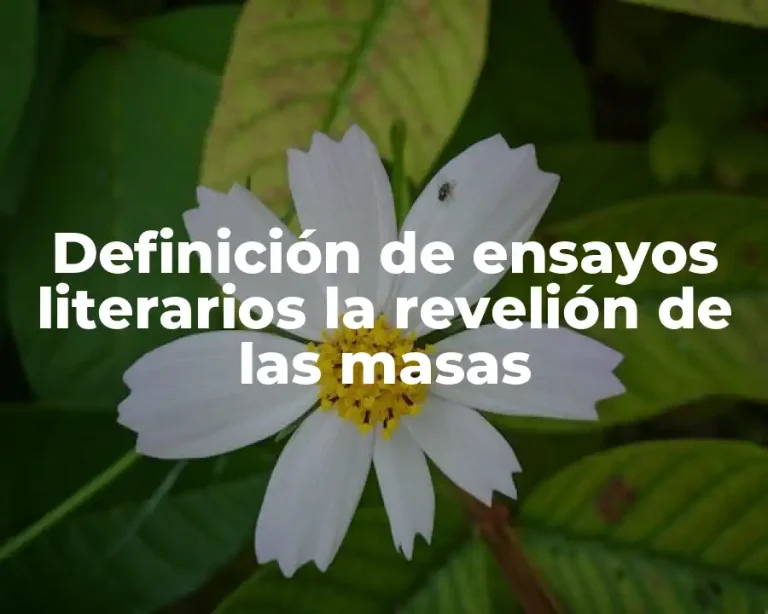 Definición de ensayos literarios la revelión de las masas