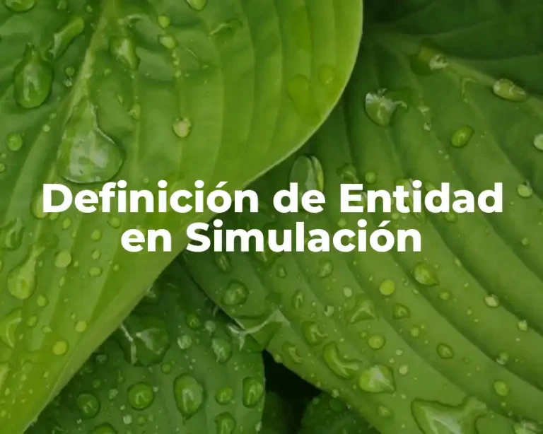 Definición de Entidad en Simulación