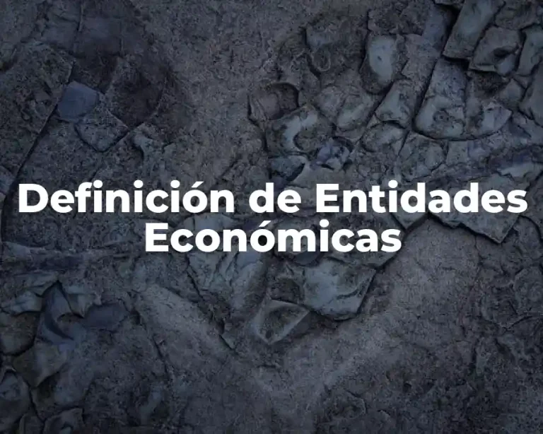 Definición de Entidades Económicas