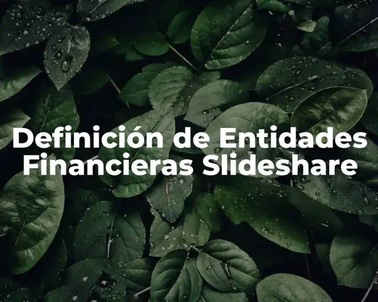 Definición de Entidades Financieras Slideshare