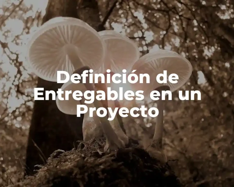 Definición de Entregables en un Proyecto