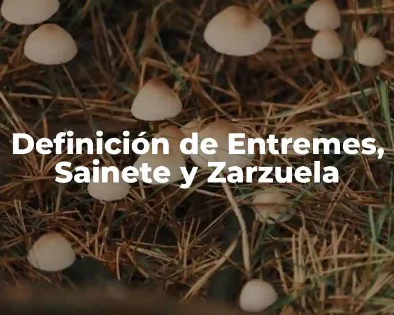Definición de Entremes, Sainete y Zarzuela