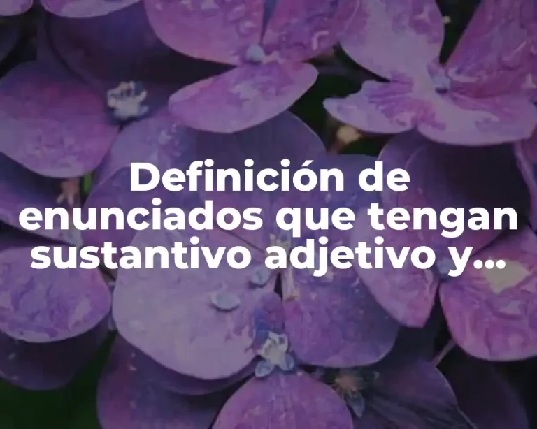 Definición de enunciados que tengan sustantivo adjetivo y verbo