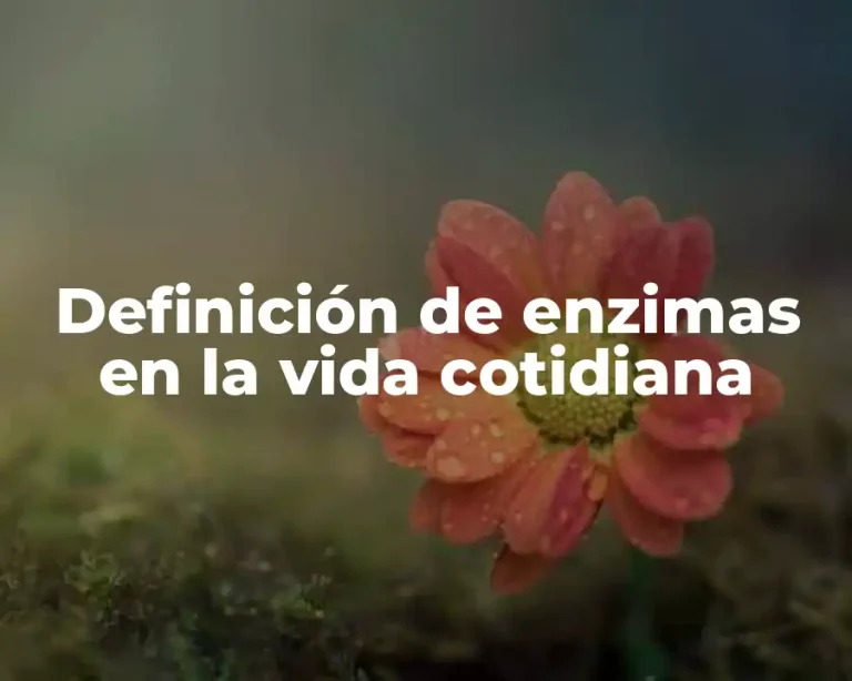 Definición de enzimas en la vida cotidiana