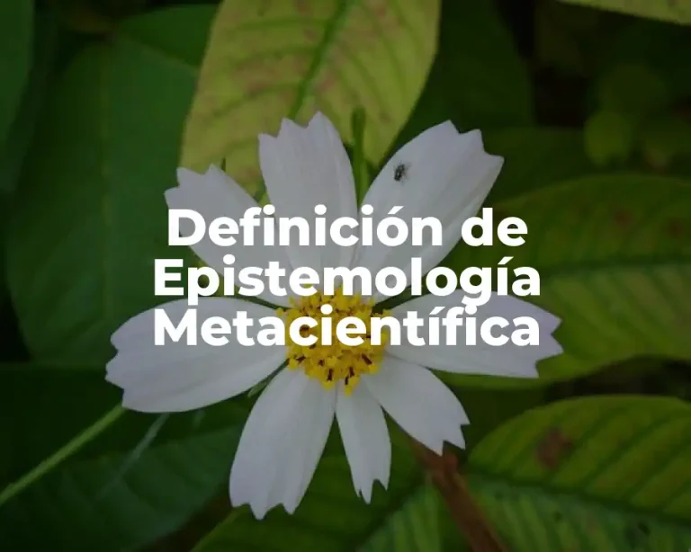 Definición de Epistemología Metacientífica
