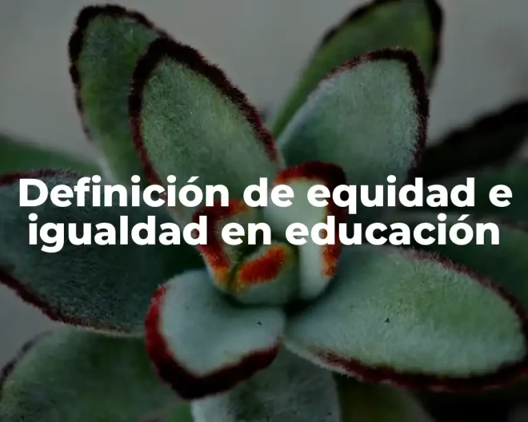Definición de equidad e igualdad en educación