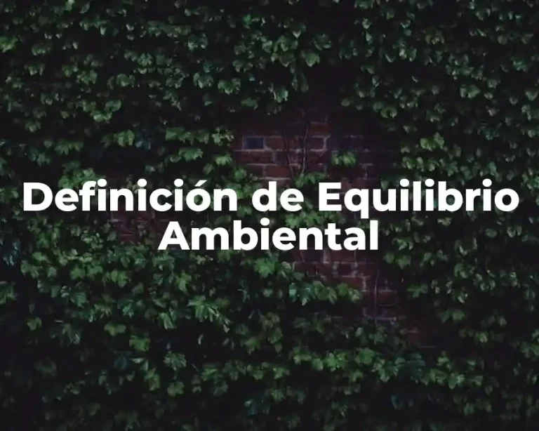 Definición de Equilibrio Ambiental
