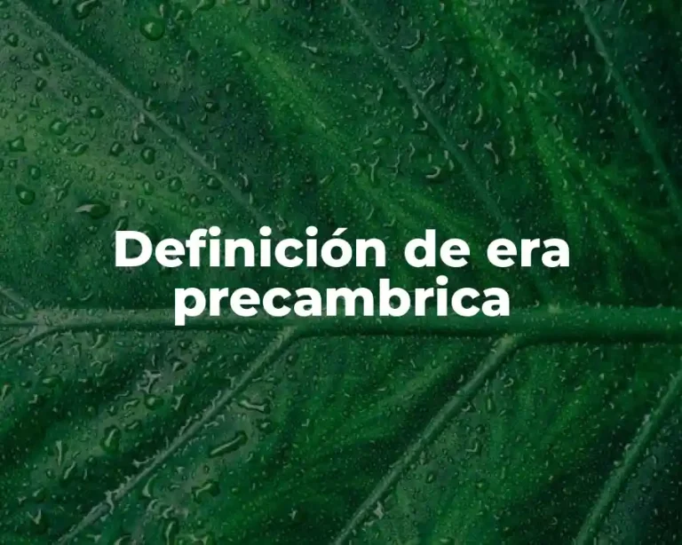 Definición de era precambrica