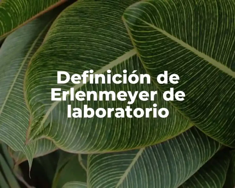 Definición de Erlenmeyer de laboratorio