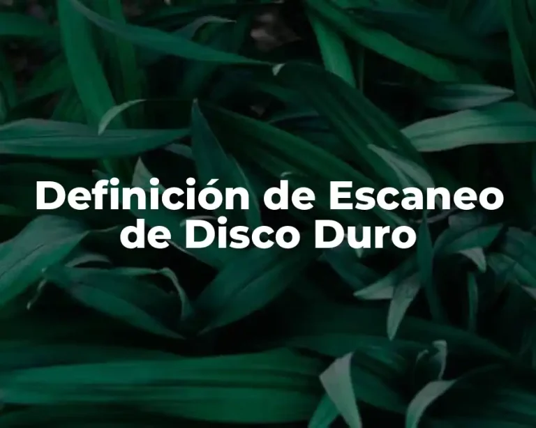Definición de Escaneo de Disco Duro
