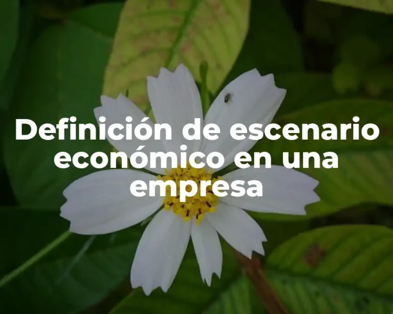 Definición de escenario económico en una empresa