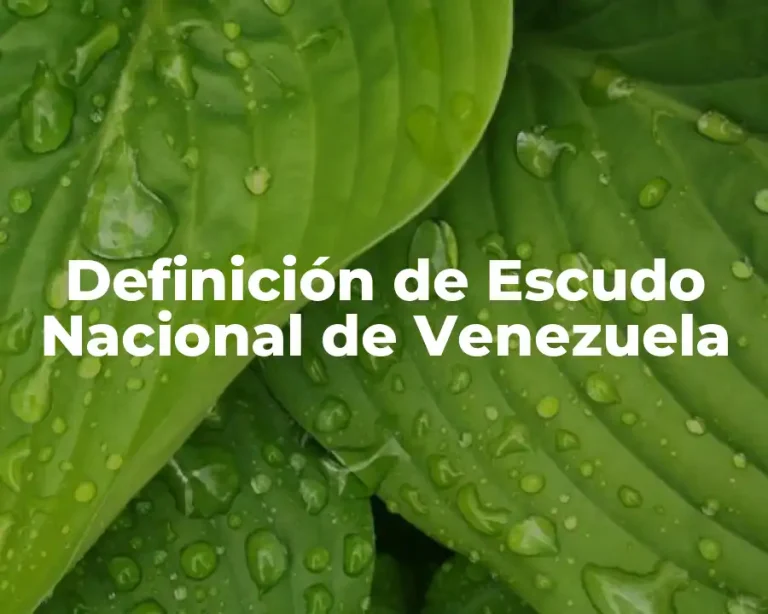 Definición de Escudo Nacional de Venezuela