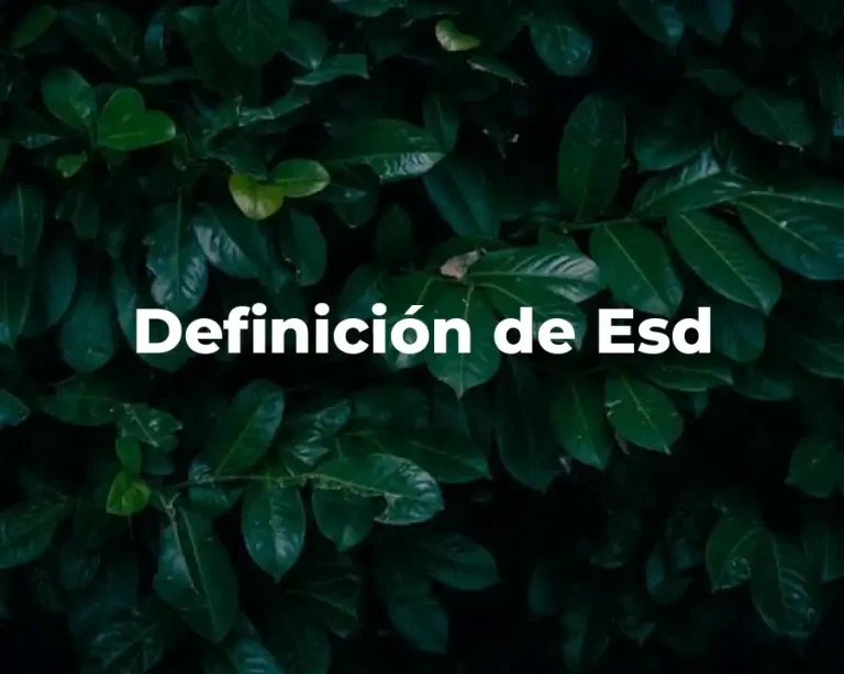 Definición de Esd