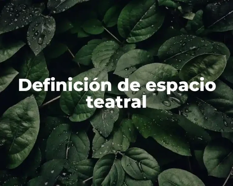 Definición de espacio teatral