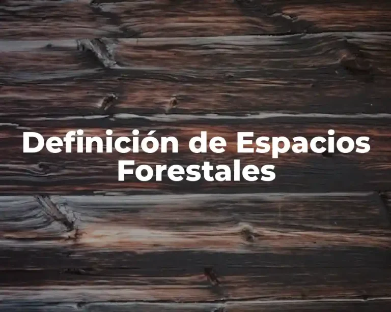 Definición de Espacios Forestales