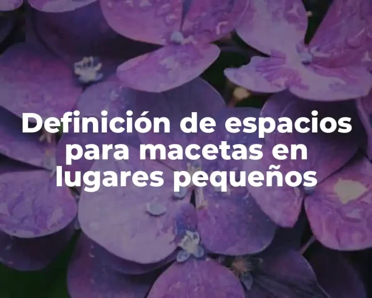 Definición de espacios para macetas en lugares pequeños