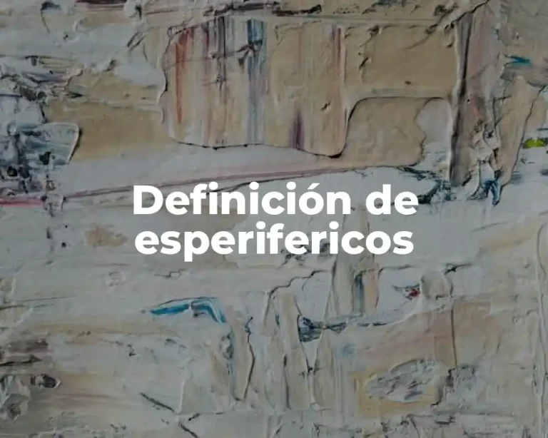 Definición de esperifericos