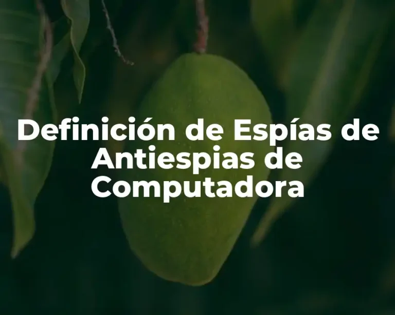 Definición de Espías de Antiespias de Computadora