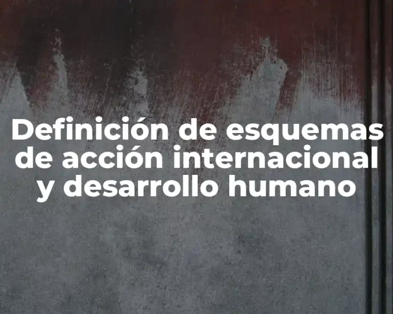 Definición de esquemas de acción internacional y desarrollo humano