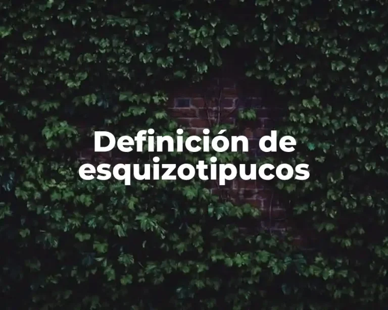 Definición de esquizotipucos