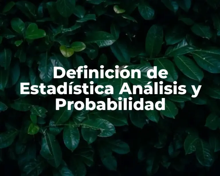 Definición de Estadística Análisis y Probabilidad