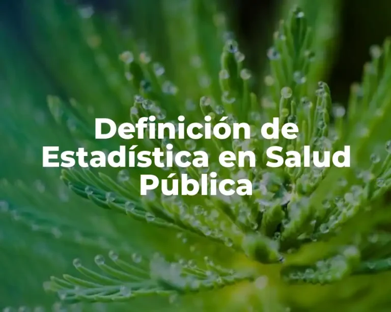 Definición de Estadística en Salud Pública