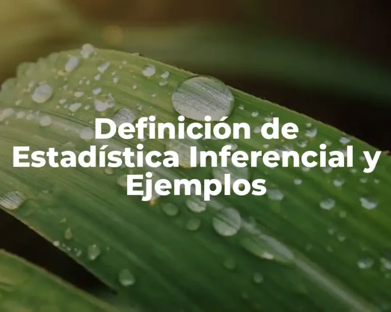 Definición de Estadística Inferencial y Ejemplos
