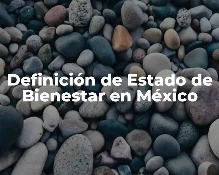 Definición de Estado de Bienestar en México