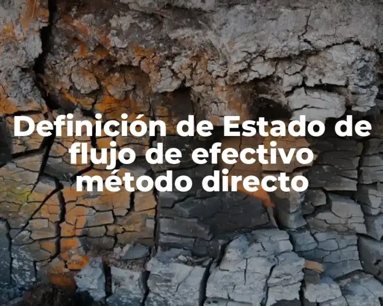 Definición de Estado de flujo de efectivo método directo