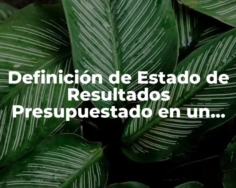 Definición de Estado de Resultados Presupuestado en un Proyecto