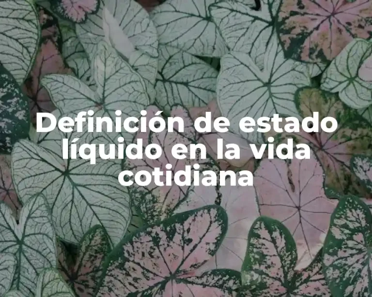 Definición de estado líquido en la vida cotidiana