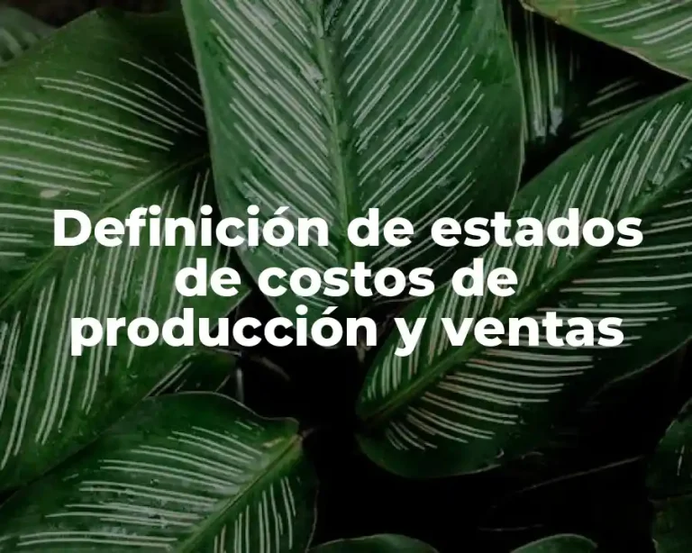 Definición de estados de costos de producción y ventas