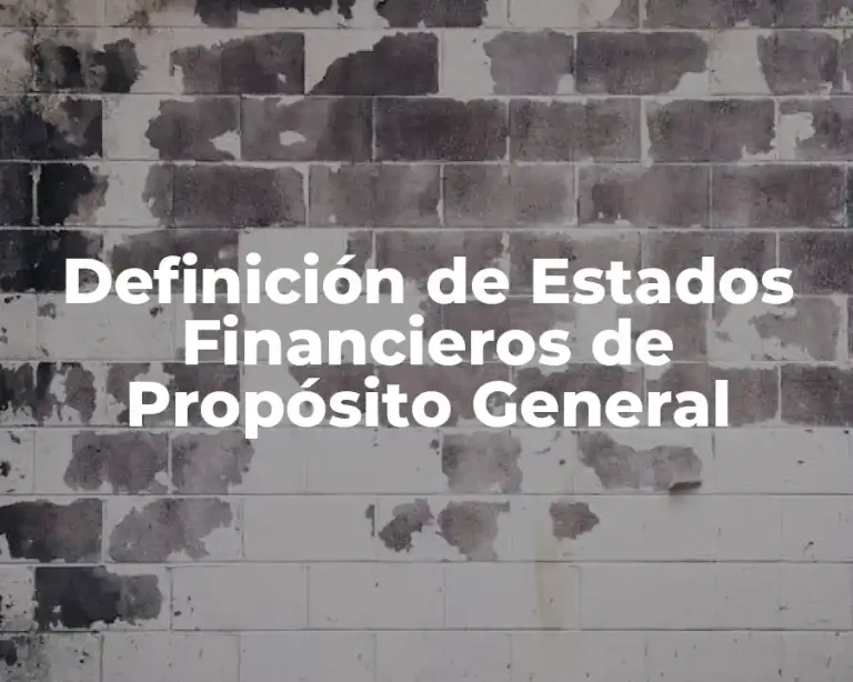 Definición de Estados Financieros de Propósito General