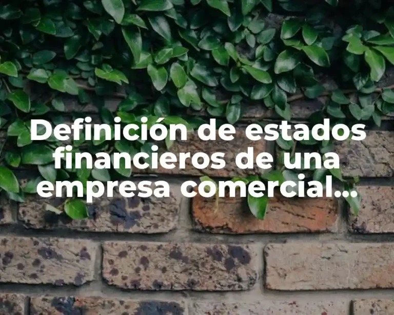 Definición de estados financieros de una empresa comercial colombiana
