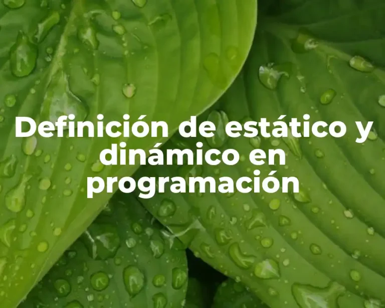 Definición de estático y dinámico en programación