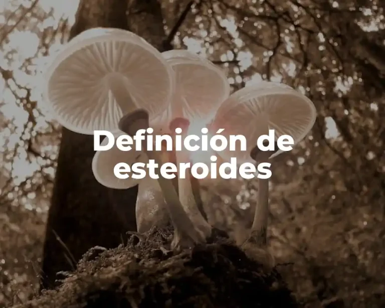 Definición de esteroides
