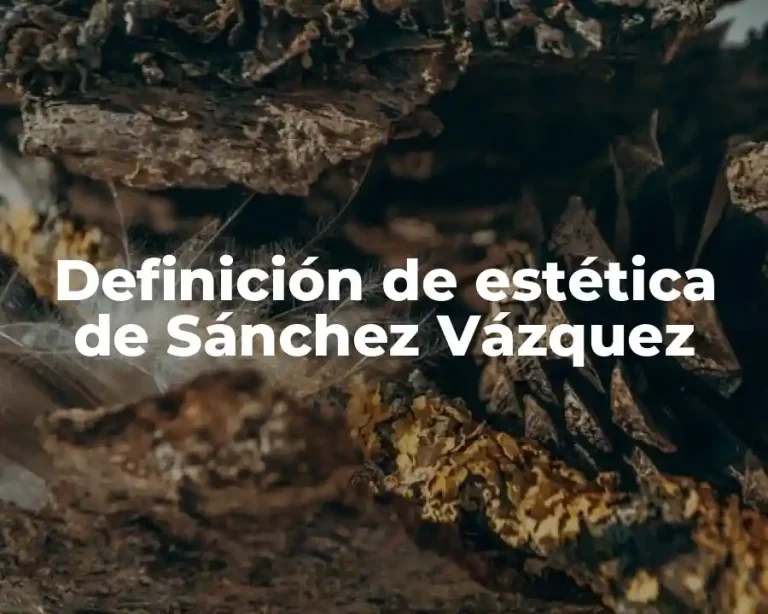 Definición de estética de Sánchez Vázquez