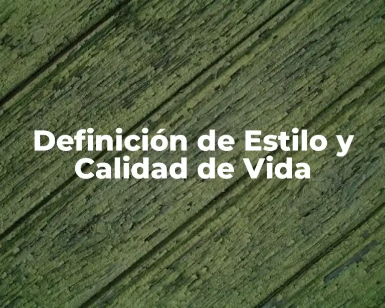 Definición de Estilo y Calidad de Vida