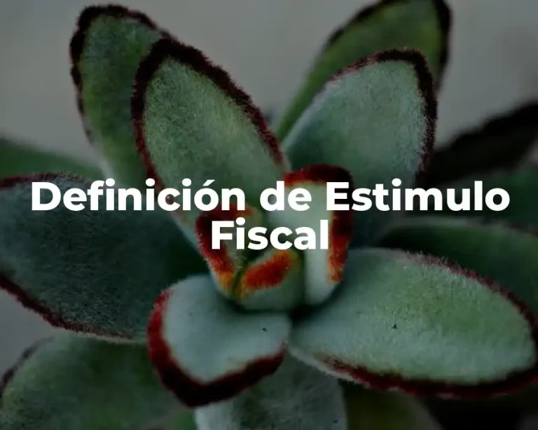 Definición de Estimulo Fiscal